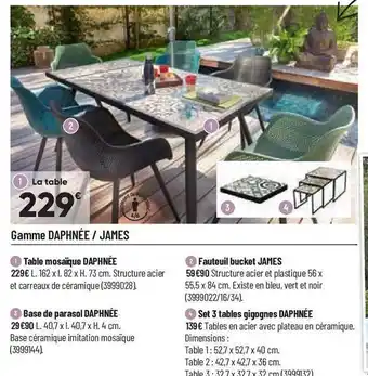 Bricorama Gamme daphnée-james offre