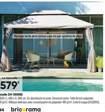Bricorama Tonnelle 3x4 virginie offre