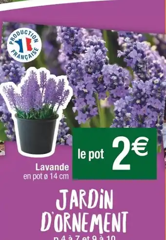 Cora x Carrefour Lavande offre