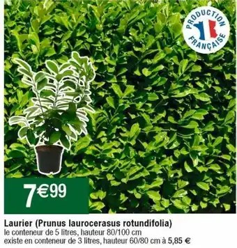 Cora x Carrefour Plantes offre