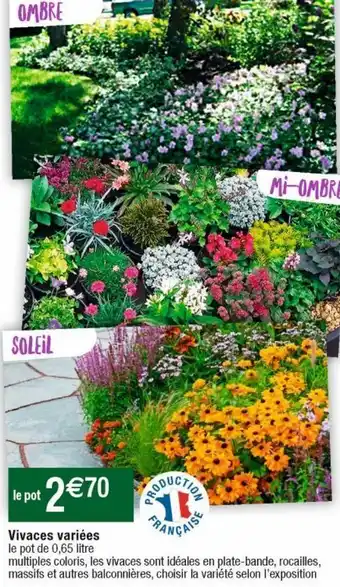 Cora x Carrefour Plantes à fleurs offre