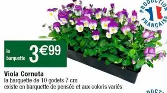 Cora x Carrefour Plantes à fleurs offre