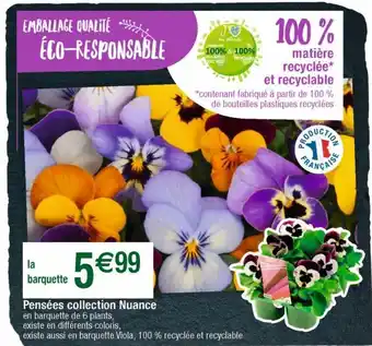 Cora x Carrefour Plantes décoratives offre