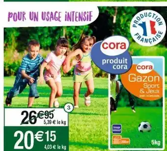 Cora x Carrefour Gazon artificiel cora offre