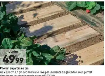 Chemin de jardin en pin