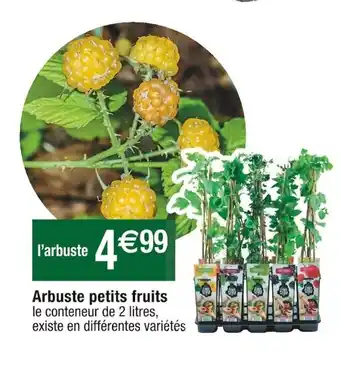 Cora x Carrefour Arbuste Petits Fruits offre