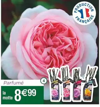 Cora x Carrefour Rosier Parfume offre