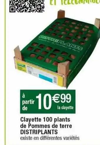 Cora x Carrefour Clayette 100 plants de pommes de terre distriplants offre
