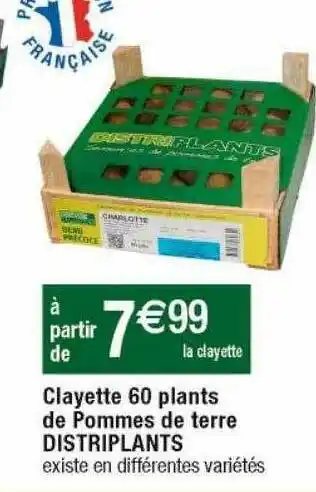 Cora x Carrefour Clayette 60 plants de pommes de terre distriplants offre