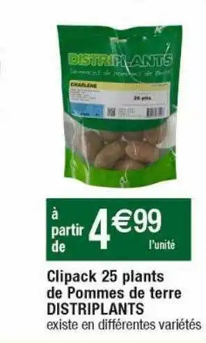 Clipack 25 plants de pommes de terre distriplants
