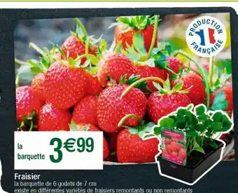 Fraisier