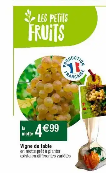 Cora x Carrefour Vigne de table offre