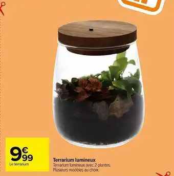 Carrefour Terrarium lumineux offre