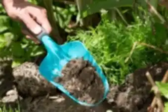 E.Leclerc Brico Gardena - grand transplantoir offre