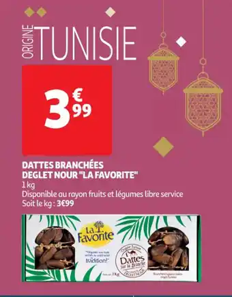 Dattes Branchées Deglet Nour "La Favorite"