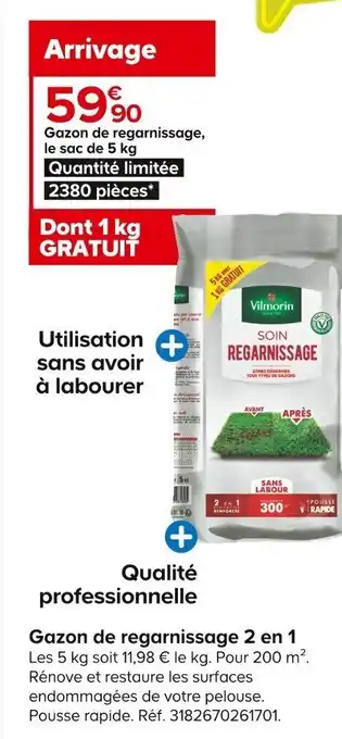 Castorama Gazon De Regarnissage 2 En 1 offre