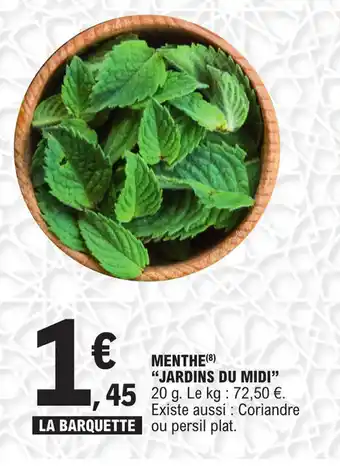 Menthe jardins du mini