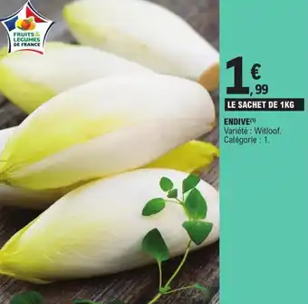 Endive