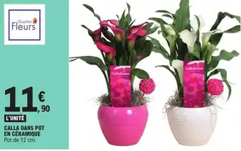 E.Leclerc Calla dans pot en céramique offre