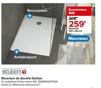 Castorama Receveur de Douche Karbon offre
