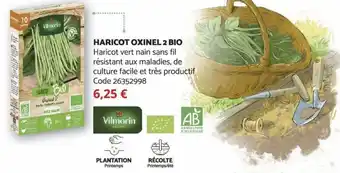 Bricomarché Haricot Oxinel 2 Bio offre