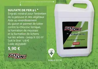 Bricomarché Sulfate de Fer 5 L offre