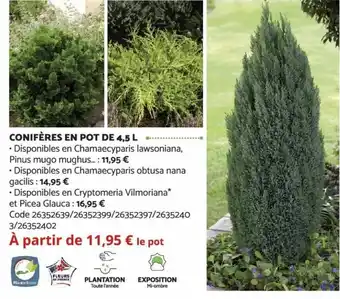 Confères en Pot de 4.5 L