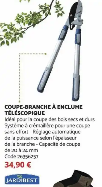 Coupe-Branche à Enclume Téléscopique
