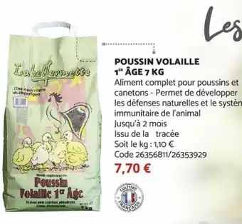 Poussin Volaille 1 Âge 7 kg