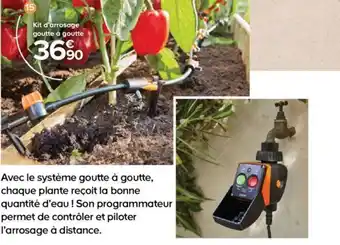 Castorama Kit D'arrosage Goutte A Goutte offre