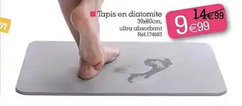 Tapis en diatomite