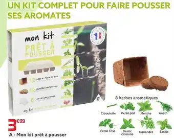 Gifi Mon kit prêt à pousser offre
