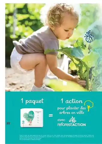 Pampers harmonie