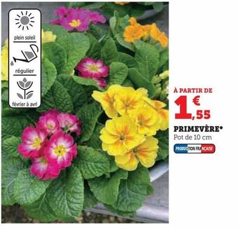 Super U Primevère offre