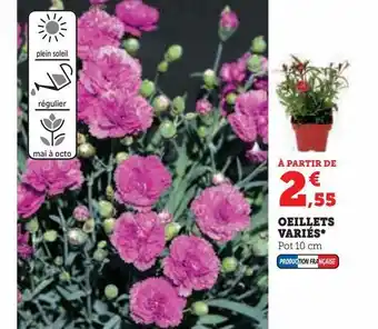 Super U Oeillets variés offre