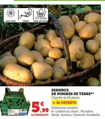 Super U Semence  de pommes de terre offre