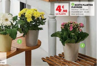 Super U Mixte plantes fleuries offre