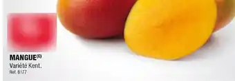 ALDI Mangue offre