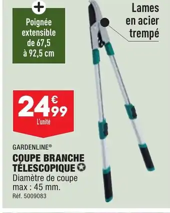 ALDI Coupe Branche Télescopique offre