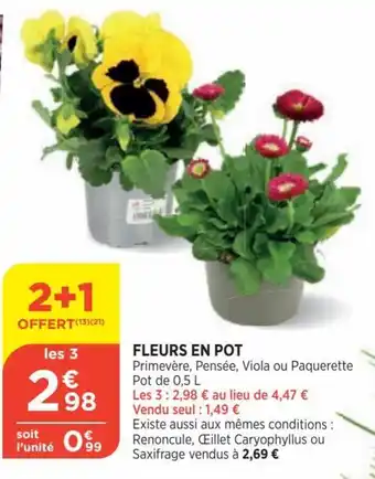Bi1 Fleurs en Pot offre