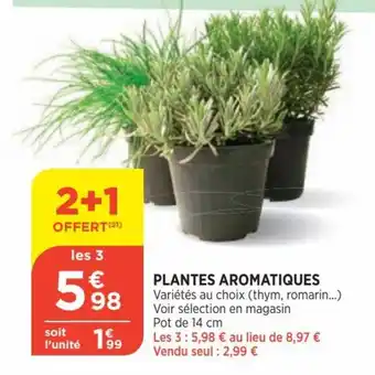 Bi1 Plantes Aromatiques offre