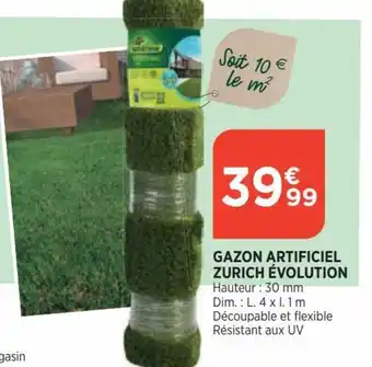 Bi1 Gazon Artificiel Zurich évolution offre