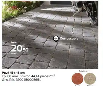 Castorama Pave 15x15cm offre
