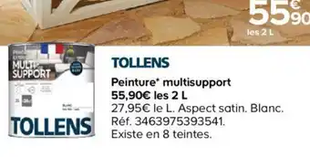 Castorama Tollens peinture multisupport offre