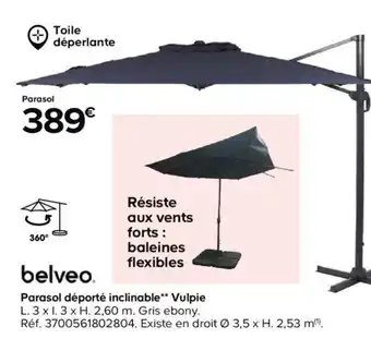 Castorama Parasol deporte offre