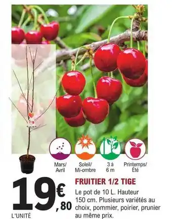 E.Leclerc Jardi Fruitier 1-2 tige offre