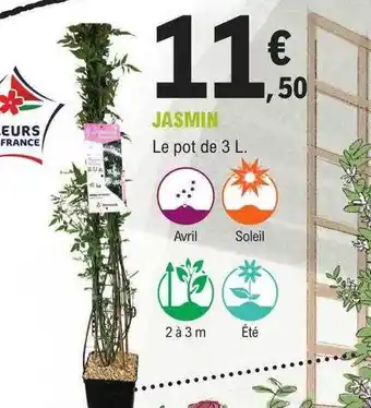 E.Leclerc Jardi Jasmin offre