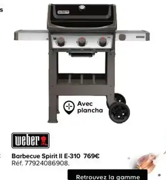 Barbecue spirit