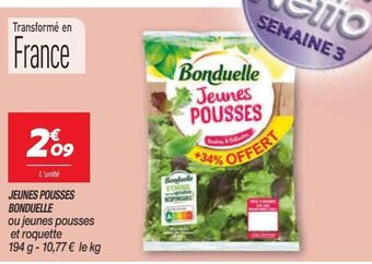 Netto Jeunes pousses bonduelle offre