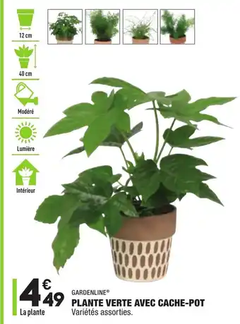 ALDI Plants verte avec cache-pot offre
